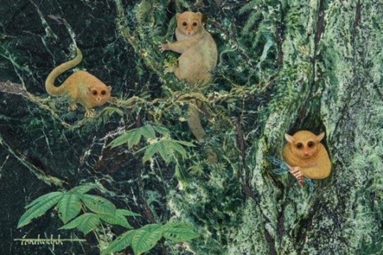 L 'artista di Austin Randy Kirk e suo padre hanno hanno rappresentato le tre specie di primati estinti così come dovevano verosimilmente sembrare (Fonte: Painting on marble by Randwulph) - RIPRODUZIONE RISERVATA