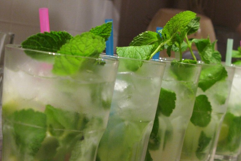 Il mojito è il cocktail più citato nei social dell 'estate 2018 (fonte: Vodopivez, Wikipedia) - RIPRODUZIONE RISERVATA