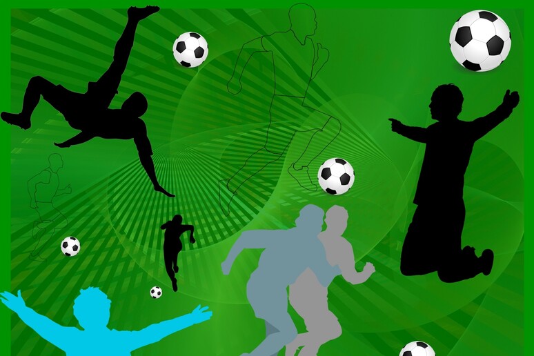 Calcio, l 'intelligenza artificiale prevede gli infortuni e suggerisce il mercato (fonte: Public Domain Pictures) - RIPRODUZIONE RISERVATA