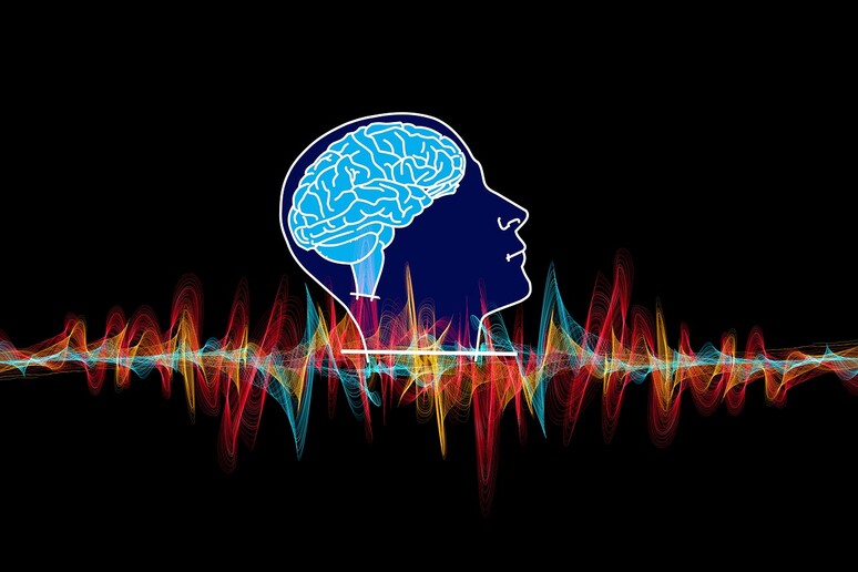 Il cervello predice le parole per aiutarci nell 'ascolto (fonte: Pixabay) - RIPRODUZIONE RISERVATA