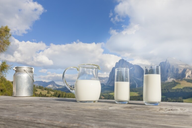 Latte: Bellanova, 6 milioni di euro per evitare lo spreco - RIPRODUZIONE RISERVATA