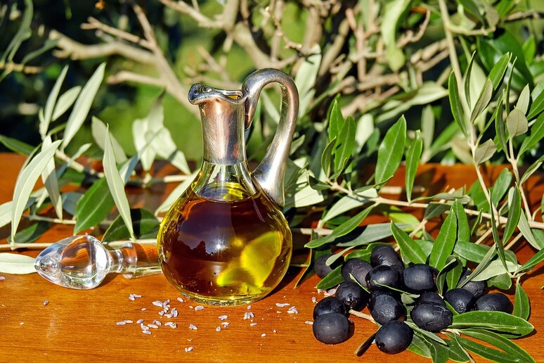 L 'Olio d 'oliva fa cultura. Parte l 'Extravergine Tour tra segreti e assaggi (fonte: Pixabay) - RIPRODUZIONE RISERVATA