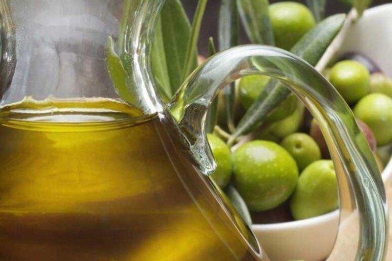 Olio d 'oliva extravergine cinese premiato in Grecia - RIPRODUZIONE RISERVATA