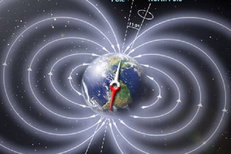 Rappresentazione grafica dei poli magnetici della Terra (fonte: Peter Reid, The University of Edinburgh) - RIPRODUZIONE RISERVATA