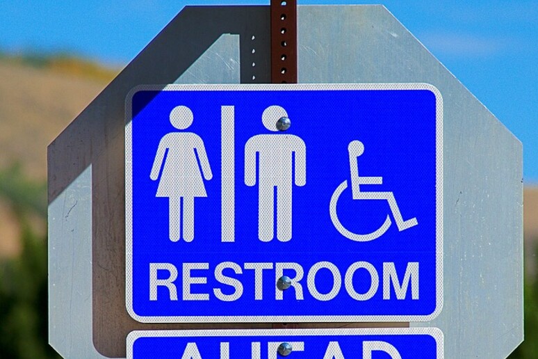 Il 60% della popolazione mondiale non usa la toilette (fonte: Max Pixel) - RIPRODUZIONE RISERVATA