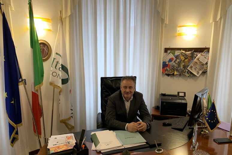 Fabrizio Pini, nuovo Presidente di Italia Olivicola - RIPRODUZIONE RISERVATA