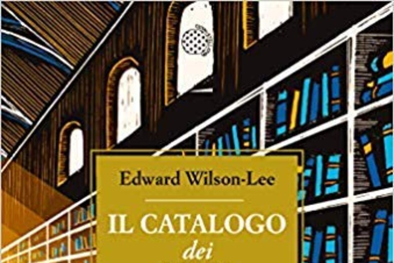 La copertina de Il Catalogo dei libri naufragati di Wilson-Lee - RIPRODUZIONE RISERVATA