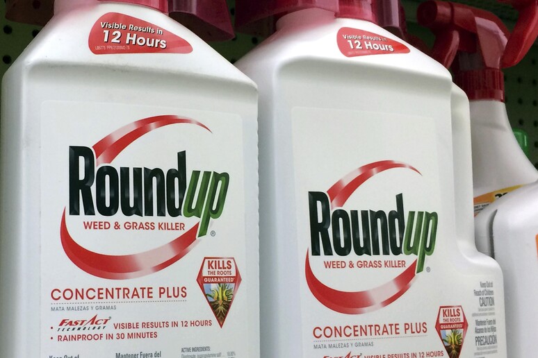 ++ Usa: Monsanto condannata a pagare 80mln su diserbante ++ - RIPRODUZIONE RISERVATA
