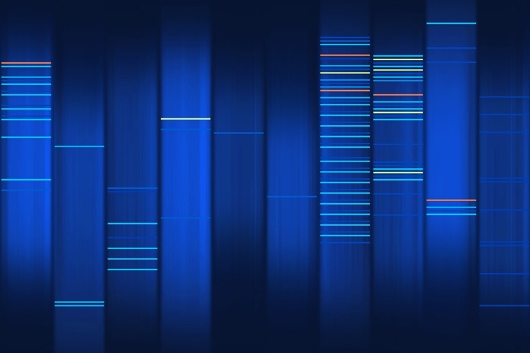 Sla, identificati 7 nuovi geni responsabili della malattia (fonte: Mark, Flickr) - RIPRODUZIONE RISERVATA