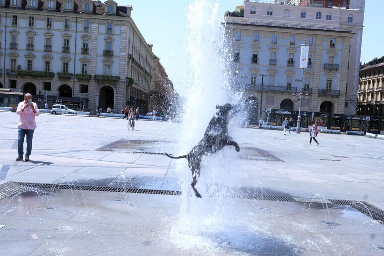 Un cane si bagna in una fontana a Torino - RIPRODUZIONE RISERVATA