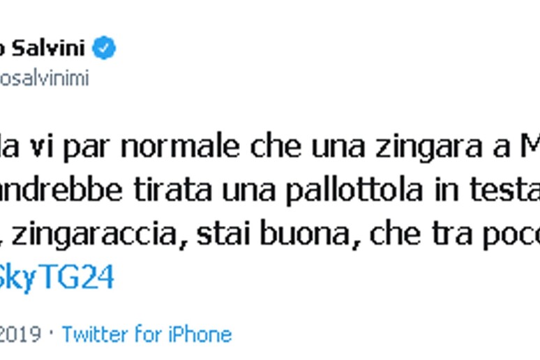 Twitter Salvini - RIPRODUZIONE RISERVATA
