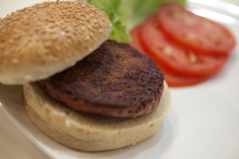 Arriva il divieto per le etichette con "hamburger Veg" - RIPRODUZIONE RISERVATA
