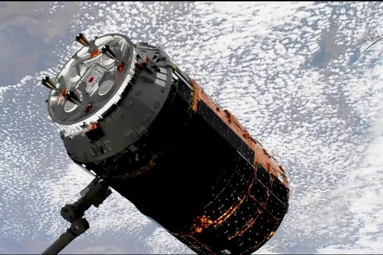 Il cargo giapponese Htv-8 agganciato alla Stazione Spaziale (fonte: NASA TV) - RIPRODUZIONE RISERVATA