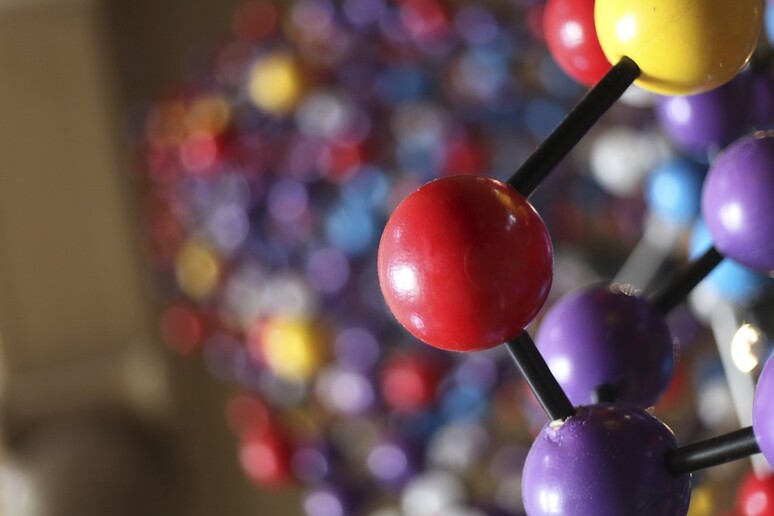 Rappresentazione grafica della molecola di Dna (fonte: Tom Woodward, Flickr) - RIPRODUZIONE RISERVATA