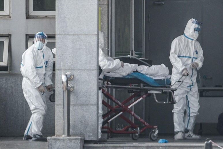 Pandemie, ora più facile riconoscerle e affrontarle © ANSA/AFP