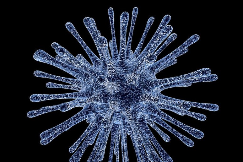 Rappresentazione artistica di un virus (fonte: Pxfuel) - RIPRODUZIONE RISERVATA