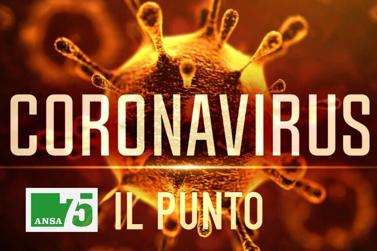 Coronavirus, l 'appuntamento quotidiano - RIPRODUZIONE RISERVATA