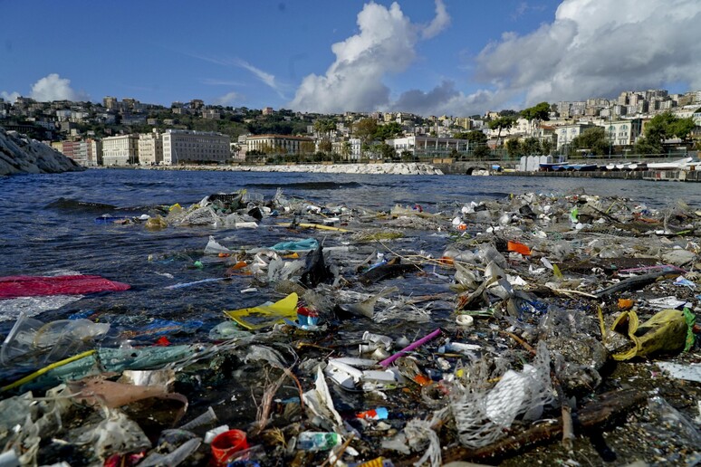 WWF e pescatori, plastica in mare non sia rifiuto speciale - RIPRODUZIONE RISERVATA