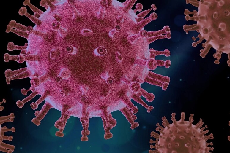 Il virus SarsCoV2 muta ma finora non è diventato più contagioso (fonte: Pixabay) - RIPRODUZIONE RISERVATA