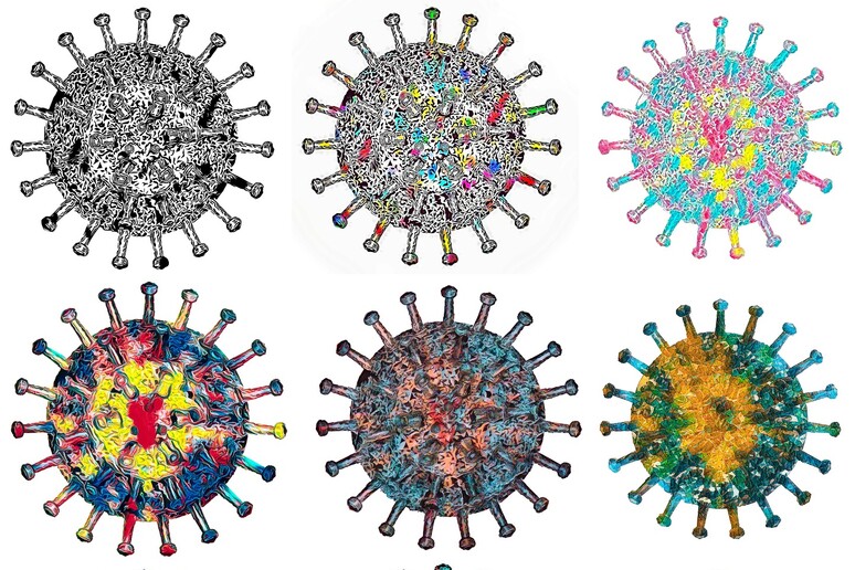 Rappresentazione grafica del nuovo coronavirus (fonte: Marek Studzinski/ Pixabay) - RIPRODUZIONE RISERVATA