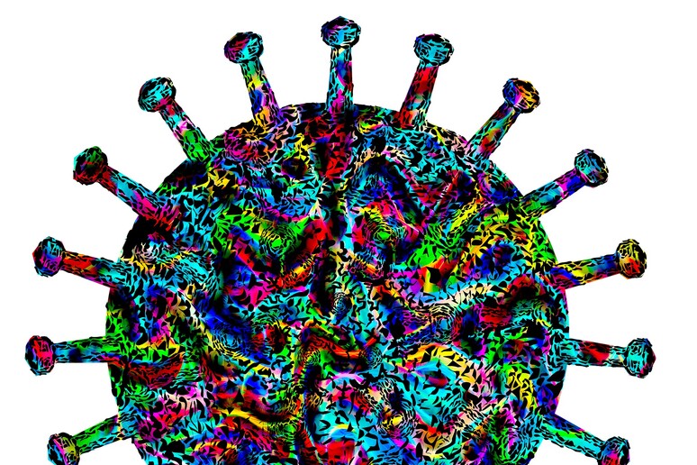 I modelli matematici cruciali per capire la pandemia (fonte: Marek Studzinski/ Pixabay) - RIPRODUZIONE RISERVATA