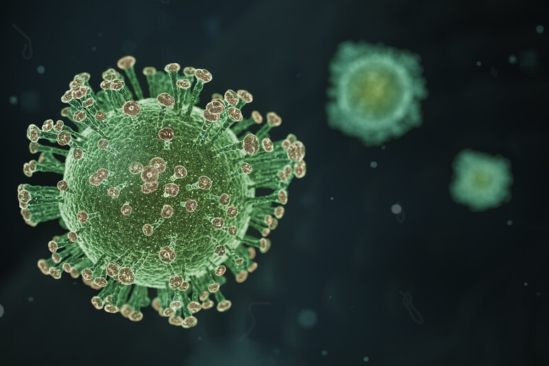 Rappresentazione artistica di una particella di coronavirus (fonte: Yuri Samoilov, Flickr) - RIPRODUZIONE RISERVATA