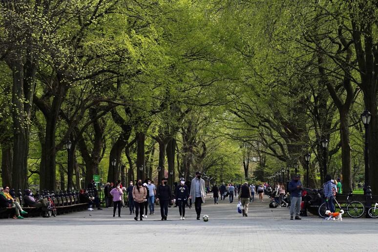 Persone passeggiano a Central Park, New York. Immagine d 'archivio © ANSA/AFP