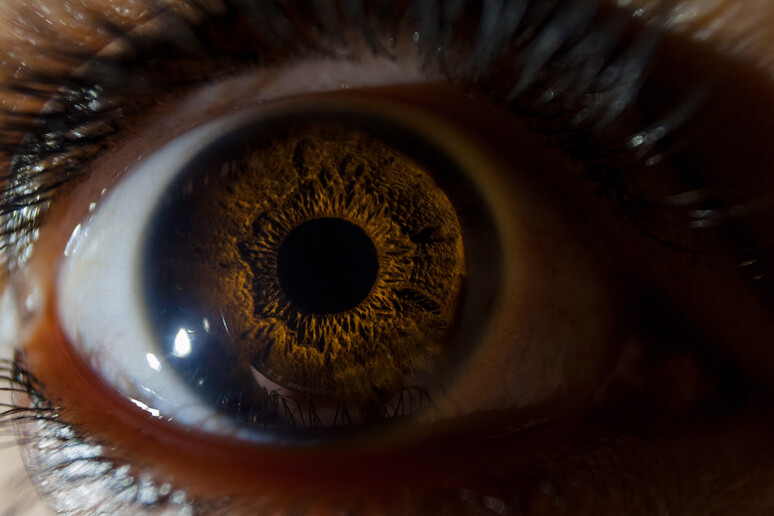 Scoperta la via d 'ingresso del nuovo coronavirus attraverso gli occhi (fonte: Ivan Radic, Flickr) - RIPRODUZIONE RISERVATA
