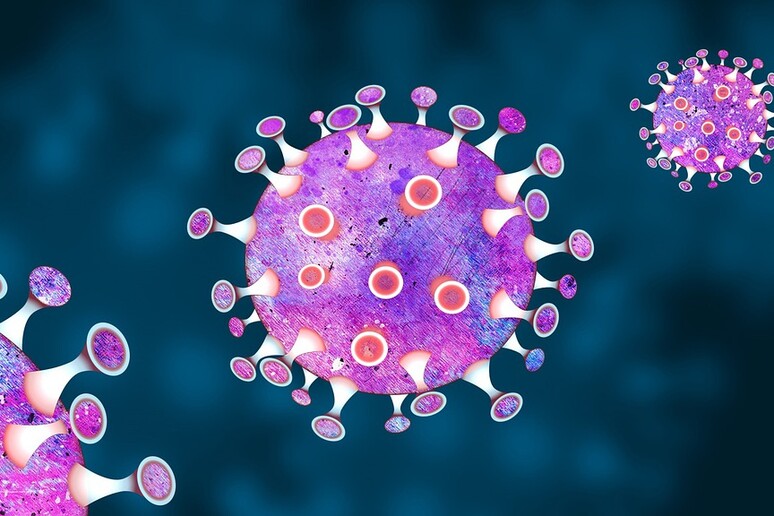 Rappresentazione artistica di coronavirus (fonte: chiplanay(Pixabay) - RIPRODUZIONE RISERVATA