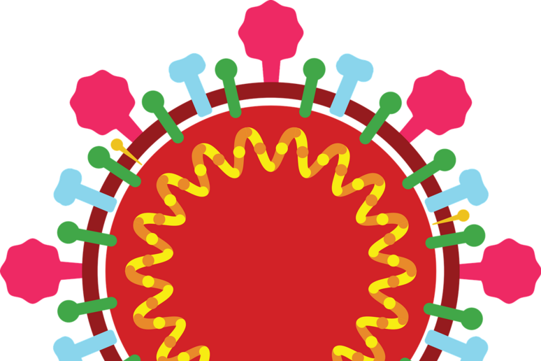 Rappresentazione grafica della struttura del virus SarsCoV2 (fonte:  neo tam da Pixabay) - RIPRODUZIONE RISERVATA