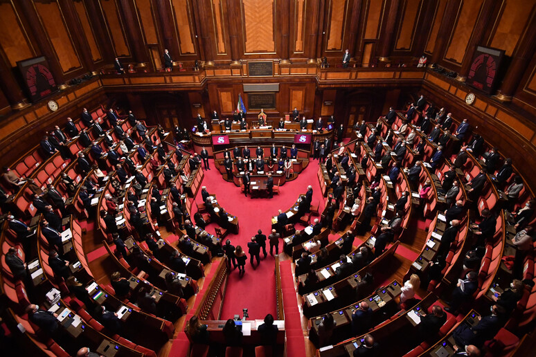 L 'Aula del Senato (Foto Ansa) - RIPRODUZIONE RISERVATA