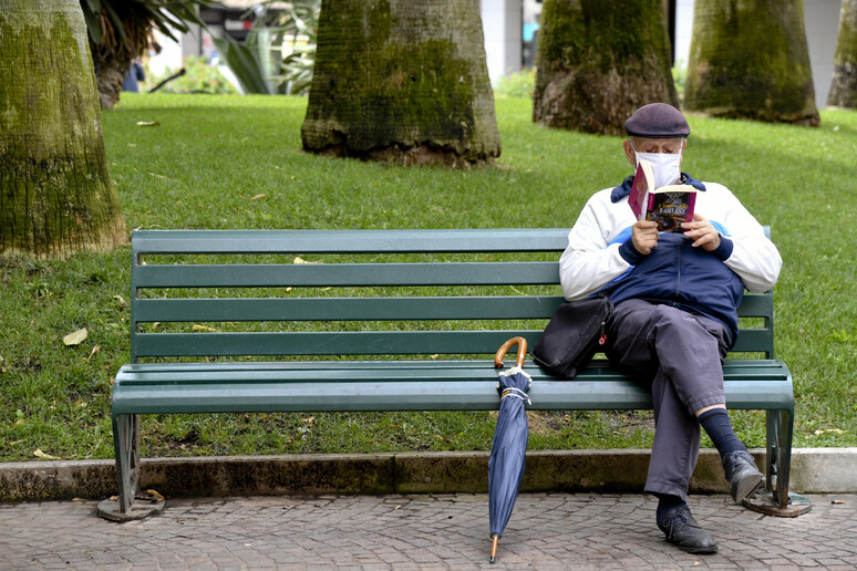 Un anziano legge un libro su una panchina - RIPRODUZIONE RISERVATA