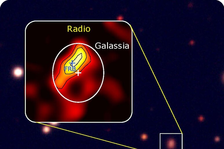 Immagine radio realizzata con il Very Large Array (VLA) della regione di formazione stellare. La croce indica il lampo radio veloce (fonte: G. Bruni, B. O’Connor) - RIPRODUZIONE RISERVATA