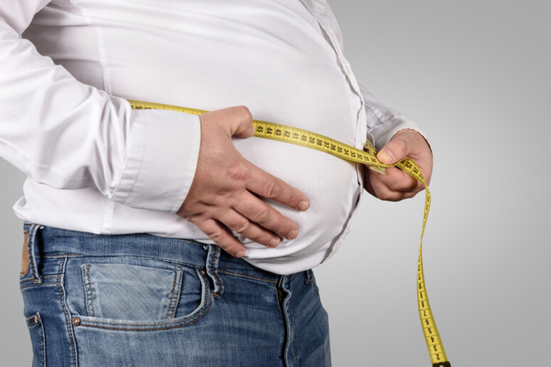 Scoperta una proteina che può bloccare l 'obesità - RIPRODUZIONE RISERVATA