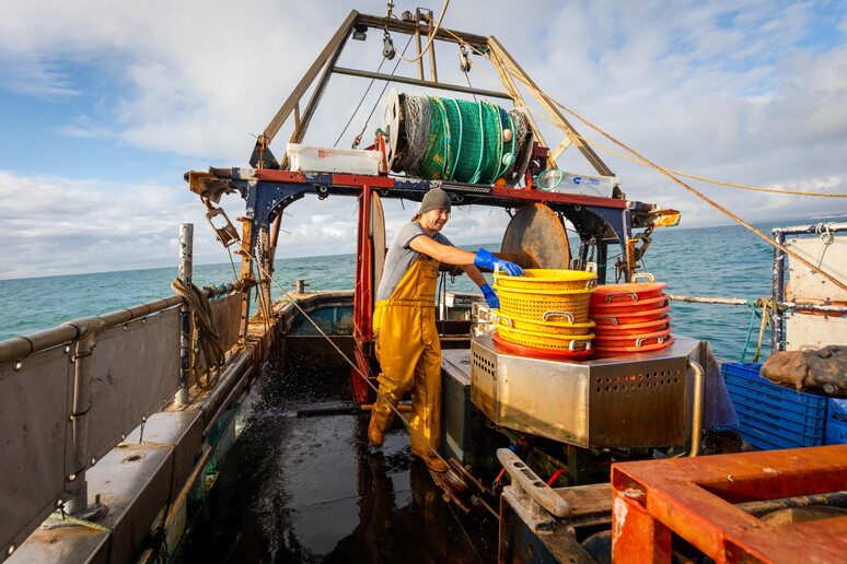 Pesca: perse 600mila giornate lavoro in 2020, aiuti a rischio - RIPRODUZIONE RISERVATA