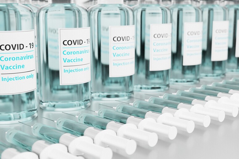 Remuzzi, dai vaccini anti Covid  'enormi benefici ' (fonte: torstensimon da Pixabay) - RIPRODUZIONE RISERVATA