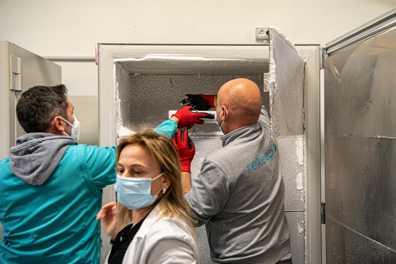 La consegna dei vaccini Pfizer all 'ospedale Santa Maria della Pietà, Roma - RIPRODUZIONE RISERVATA