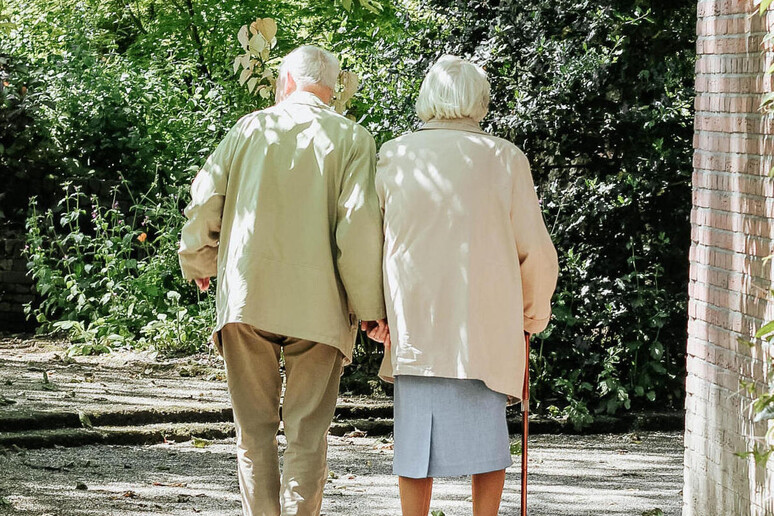 Anziani passeggiano in un parco - RIPRODUZIONE RISERVATA