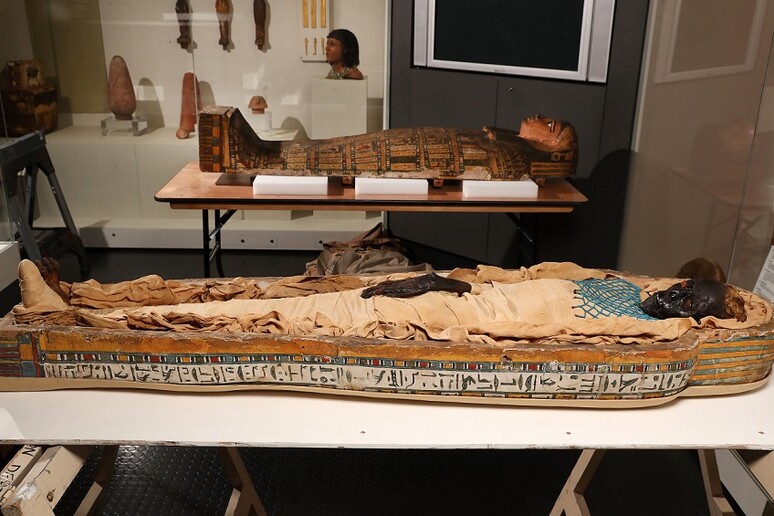 La mummia Takabuti fu probabilmente uccisa da un colpo d 'ascia (fonte: Università di Manchester) - RIPRODUZIONE RISERVATA