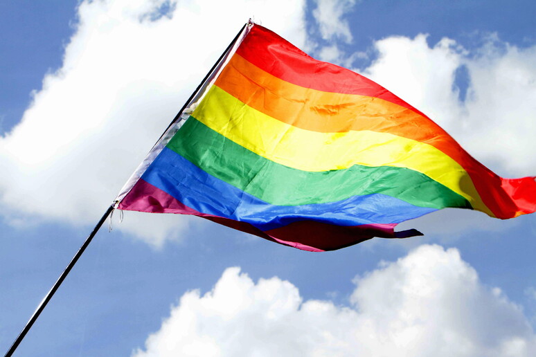 Una bandiera arcobaleno - RIPRODUZIONE RISERVATA