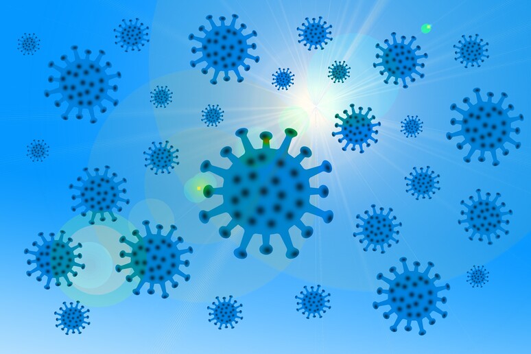 L 'epidemia di Covid-19 è ancora in fase di espansione (fonte: Pixabay) - RIPRODUZIONE RISERVATA