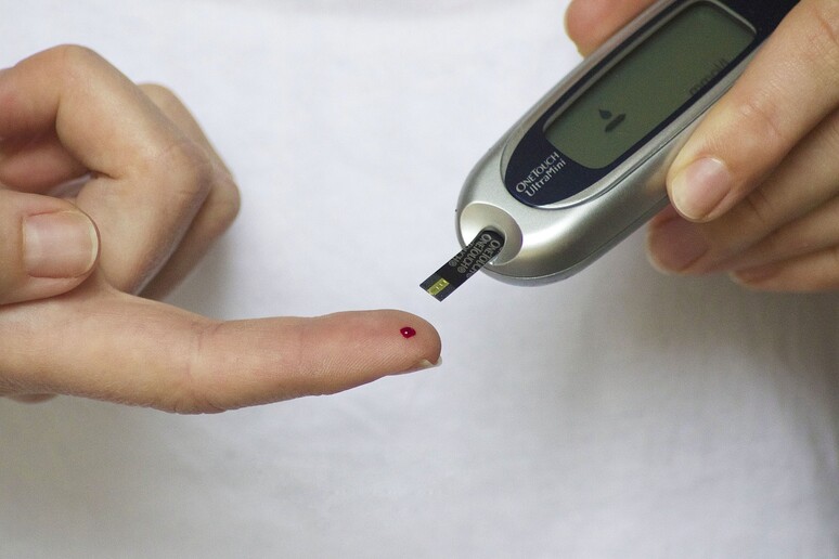 Scoperto come si sviluppa il diabete legato a Covid-19 (fonte: Pixabay) - RIPRODUZIONE RISERVATA