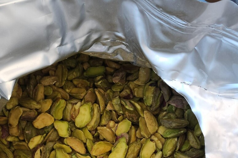 Guardia finanza sequestra 23 tonnellate di pistacchi al traforo del Monte bianco - RIPRODUZIONE RISERVATA