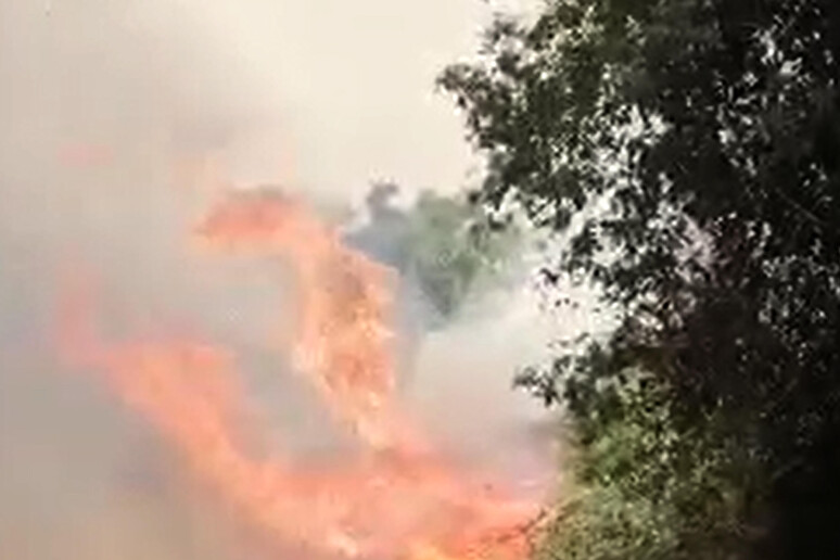 Incendi in Sardegna - RIPRODUZIONE RISERVATA