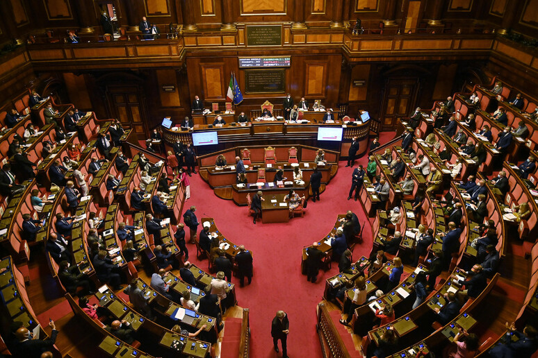 L 	'Aula del Senato in una foto d 	'archivio - RIPRODUZIONE RISERVATA