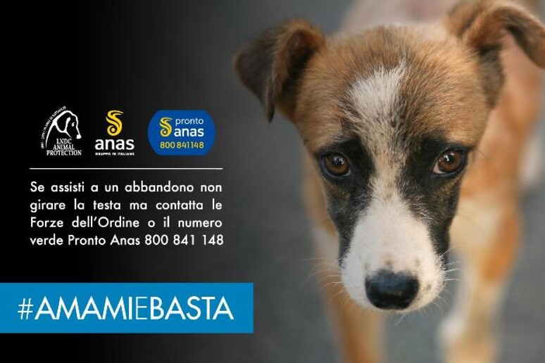 #AMAMIeBASTA, campagna Anas contro l 	'abbandono di animali - RIPRODUZIONE RISERVATA