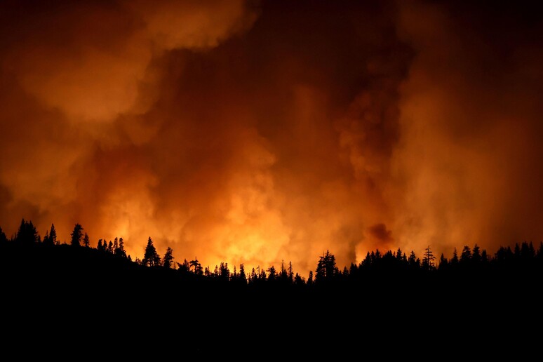 Clima incide sugli incendi, a rischio Europa e Mediterraneo © ANSA/AFP