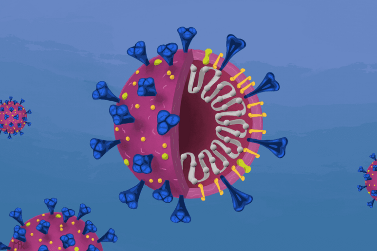 Schema di una particella del virus SarsCoV2 e del suo materiale genetico (fonte:  Innovative Genomics Institute) - RIPRODUZIONE RISERVATA