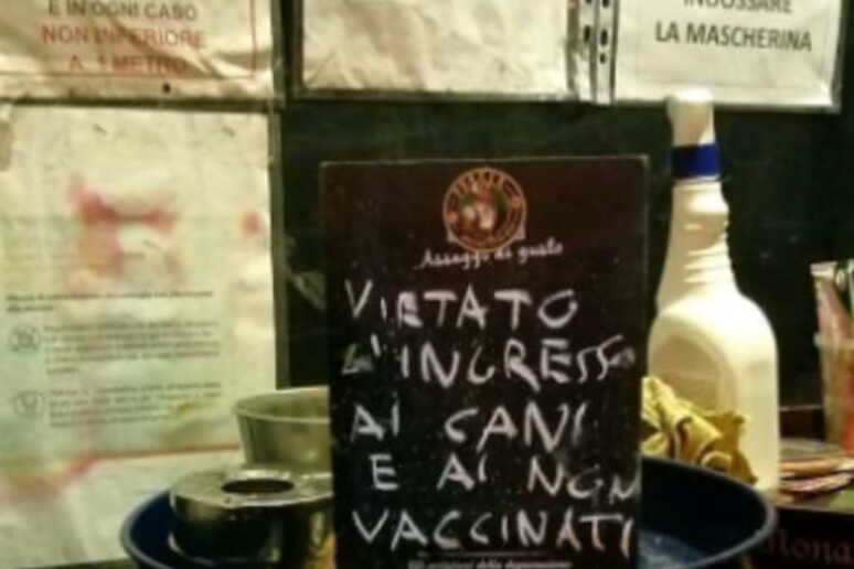 'Stop a cani e No Vax ', minacce dopo provocazione pub Torino - RIPRODUZIONE RISERVATA