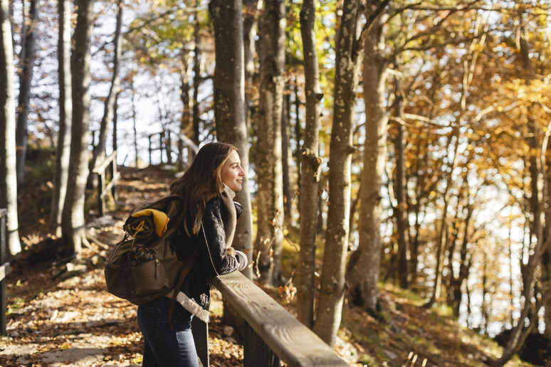 Una donna si gode un bosco in autunno foto iStock. - RIPRODUZIONE RISERVATA